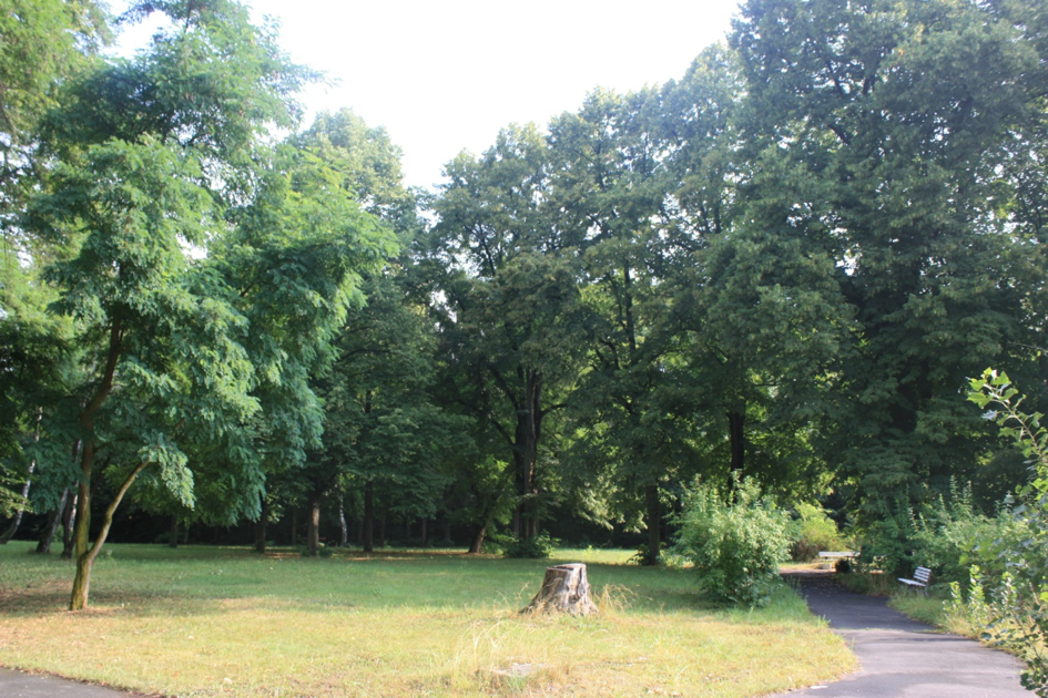 Park